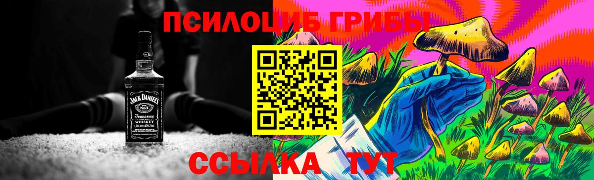 Славянск-на-Кубани  Псилоцибиновые грибы Psilocybine cubensis  Вход с VPN  Псилоцибиновые грибы GOLDEN TEACHER 