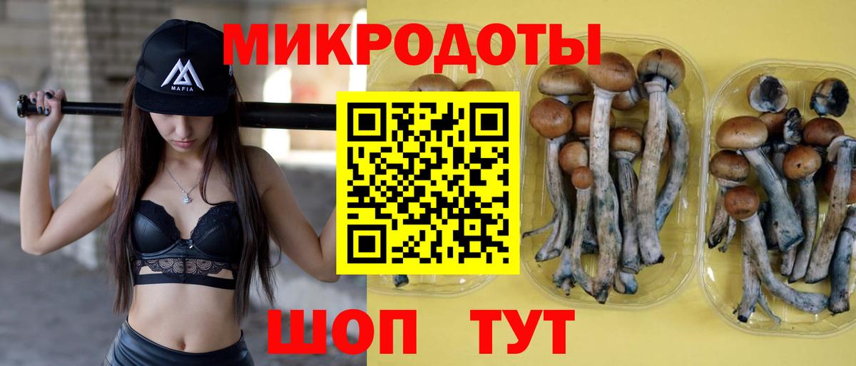 Псилоцибиновые грибы ЛСД Славянск-на-Кубани