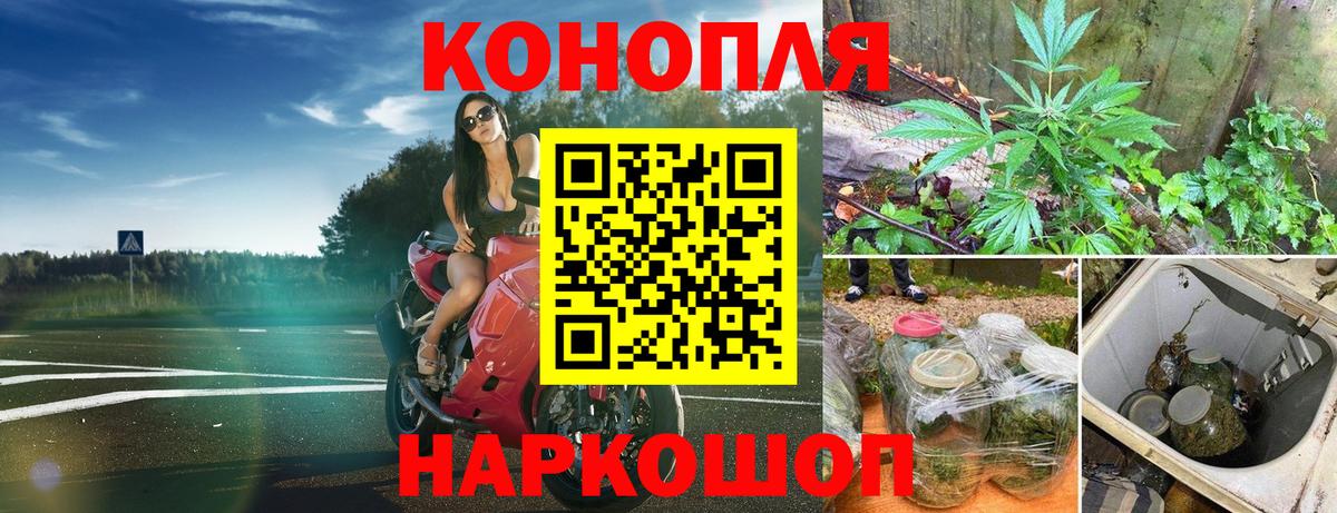 МАРИХУАНА план  Каннабис Bruce Banner  Вход с VPN  Славянск-на-Кубани  Бошки Шишки OG Kush 